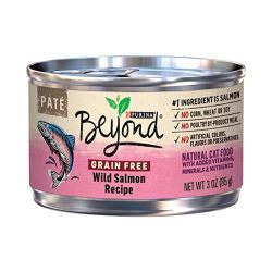 Purina Beyond Grain Free Pate Wild Salmon Recipe Adult Wet Cat Food