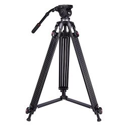 DSLR Video Camera Tripod, Heavy Duty Tripod System with 360 Degree Fluid Drag Video Head, Professional 1/4" and 3/8" QR Plate and Bubble Level Video Camera Tripod