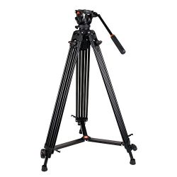 COMAN Professional Video Tripod Heavy Duty Aluminum 74 Inch Twin Tubes with Q5 Fluid Head Max loading 13.2 LB for Pro DV Cameras Camcorders