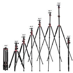 ZOMEI Camera Tripod 72 inch Portable Professioional Aluminium Monopod 4 Section Professional Tripods with 360 Degree Ball Head QR Plate for Canon Nikon DSLR DV Scope Camcorder and Projector