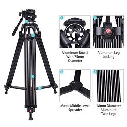 DSLR Video Camera Tripod, Heavy Duty Tripod System with 360 Degree Fluid Drag Video Head, Professional 1/4" and 3/8" QR Plate and Bubble Level Video Camera Tripod