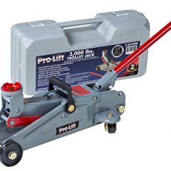 Pro-Lift Grey Hydraulic Trolley Jack Car Lift with Blow Molded Case (3000 lbs Capacity)