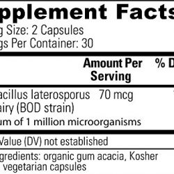 Global Healing Center Latero-Flora Brevibacillus Laterosporus Non-Dairy Probiotic Supplement for Healthy Colon and Digestion (60 Capsules)