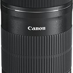 Canon EF-S 55-250mm f/4-5.6 IS STM Telephoto Zoom Lens