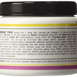 Isagenix Cleanse for Life Rich Berry Powder 96 g/(3.4 oz)