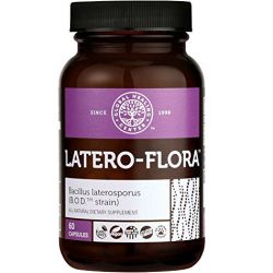 Global Healing Center Latero-Flora Brevibacillus Laterosporus Non-Dairy Probiotic Supplement for Healthy Colon and Digestion (60 Capsules)