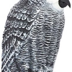 Bird Blinder Scarecrow Fake Owl Decoy - Pest Repellent Garden Protector – (small)