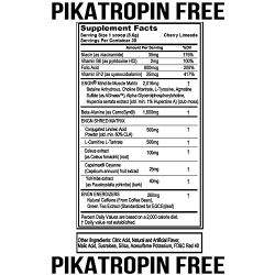 Evlution Nutrition ENGN SHRED Pre workout Thermogenic Fat Burner Powder, Energy, Weight loss, 30 Servings (Cherry Limeade)