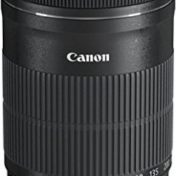 Canon EF-S 55-250mm f/4-5.6 IS STM Telephoto Zoom Lens
