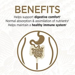 Garden of Life Whole Food Probiotic Supplement - Primal Defense ULTRA Ultimate Probiotic Dietary Supplement for Digestive and Gut Health, 90 Vegetarian Capsules