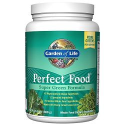 Garden of Life Whole Food Vegetable Supplement - Perfect Food Green Superfood Dietary Powder, 600g