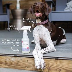 Wondercide Flea Tick Mosquito Control Spray Cats Dogs Home - Cedar - 16 oz