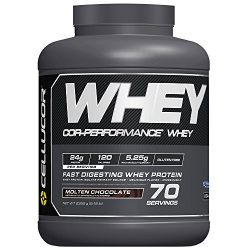 Cellucor Whey Protein Isolate & Concentrate Blend Powder with BCAAs, Post Workout Recovery Drink, Gluten Free Low Carb Low Fat, Molten Chocolate, 70 Servings