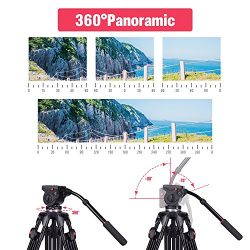 DSLR Video Camera Tripod, Heavy Duty Tripod System with 360 Degree Fluid Drag Video Head, Professional 1/4" and 3/8" QR Plate and Bubble Level Video Camera Tripod