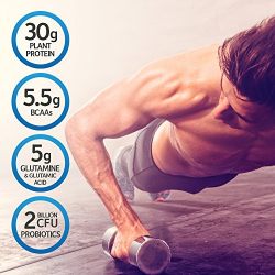 Garden of Life Sport Organic Plant-Based Protein - BCAA Amino Acid Protein Powder, Vanilla 28.4oz (1lb 12oz / 806g) Powder