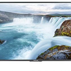 Sceptre 43 inches 1080p LED TV X438BV-FSRR (2018)