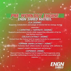 Evlution Nutrition ENGN SHRED Pre workout Thermogenic Fat Burner Powder, Energy, Weight loss, 30 Servings (Cherry Limeade)