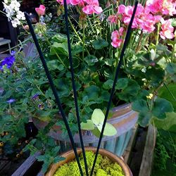 3-Pack Double Strength Great Aroma. Lasts 2.5 Hours per Stick Reusable Natural Mosquito Repellent Incense Sticks Citronella,Lemongrass, and Cinnamon Oils. Amazing Value!