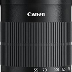 Canon EF-S 55-250mm f/4-5.6 IS STM Telephoto Zoom Lens