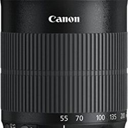 Canon EF-S 55-250mm f/4-5.6 IS STM Telephoto Zoom Lens
