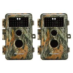 [Upgraded]BlazeVideo 2-Pack Game Trail Deer Cameras 16MP 1920x1080P Video No Glow Infrared 2.4" LCD Camo Wildlife Hunting Cam 65ft Night Vision PIR Motion Activated Sensor IP66 Waterproof 0.6S Trigger