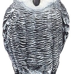 Bird Blinder Scarecrow Fake Owl Decoy - Pest Repellent Garden Protector – (small)