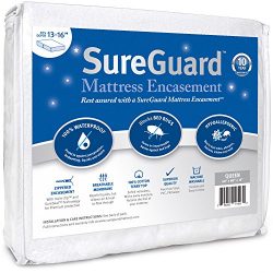 Queen (13-16 in. Deep) SureGuard Mattress Encasement