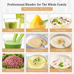 Commercial Smoothie Blender,Betitay Professional Milkshake Maker