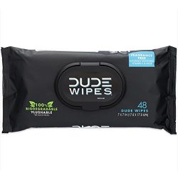 DUDE Wipes Flushable Wet Wipes, Unscented with Vitamin-E & Aloe