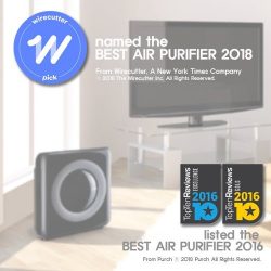 Coway Mighty Air Purifier with True HEPA and Eco Mode