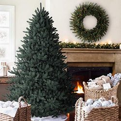 6.5' Balsam Hill Blue Spruce Artificial Christmas Tree Unlit