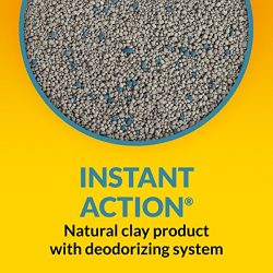 Purina Tidy Cats Instant Action Clumping Cat Litter - 40 lb. Box
