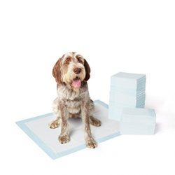 Basics Pet Training and Puppy Pads