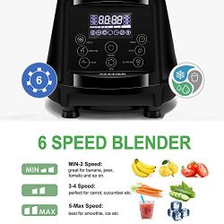 Aimores Commercial Blender for Shakes and Smoothies