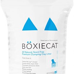 Boxiecat Premium Clumping Clay Cat Litter, 16-pounds
