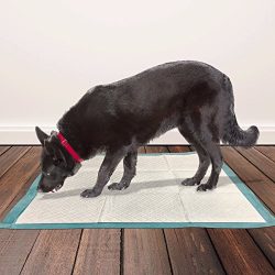 Simple Solution Training Puppy Pads | Extra Large, 6 Layer Dog Pee Pads