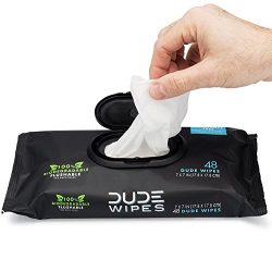 DUDE Wipes Flushable Wet Wipes, Unscented with Vitamin-E & Aloe
