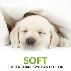Queen Size Luxury Bamboo Hypoallergenic Waterproof Mattress Protector