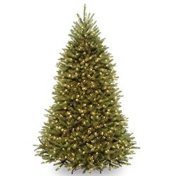 National Tree 7.5 Foot Dunhill Fir Tree with 750 Clear Lights