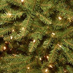 National Tree 7.5 Foot Dunhill Fir Tree with 750 Clear Lights