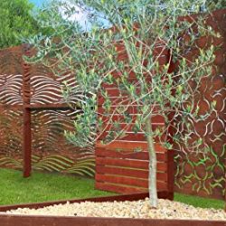 Natural Screens by Be Metal Be "Cannonball" Laser Cut