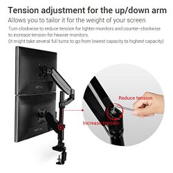 Fleximounts Monitor Arm Dual Stacking Arm Monitor