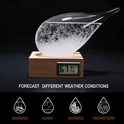 Storm Glass Weather Stations Water Drop Weather Predictor