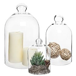 MyGift Set of 3 Decorative Clear Glass Apothecary Cloche