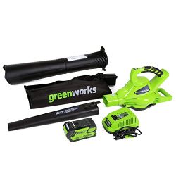 Greenworks 40V MPH Variable Speed Cordless Blower Vacuum