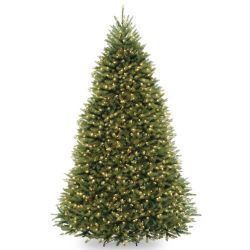National Tree 9 Foot Dunhill Fir Tree with 900 Clear Lights