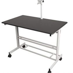 48" Stand Up Desk w/FREE Monitor Mount