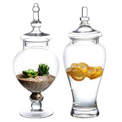 MyGift Set of 2 Decorative Clear Glass Apothecary Jars