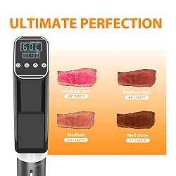 DP Sous Vide Machine Precision Cooker