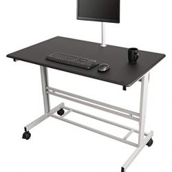 48" Stand Up Desk w/FREE Monitor Mount